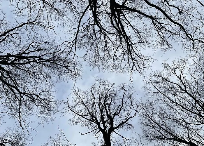 Campismo de Luxo Tente Vue Avec 2 *